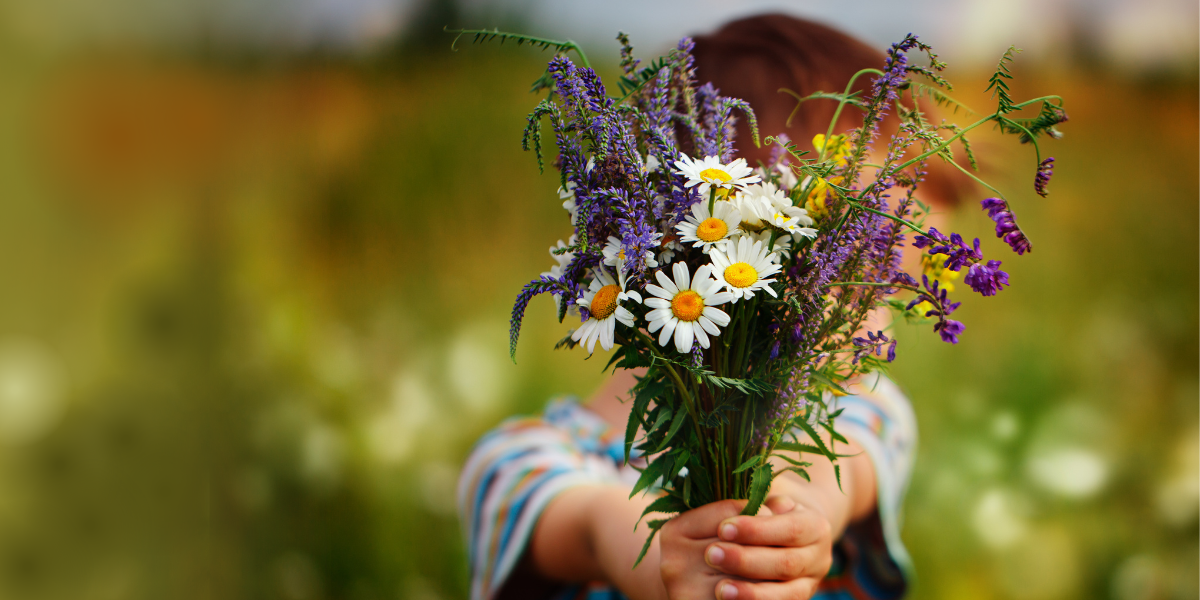 A little boy handing the viewer a bouquet of wildflowers