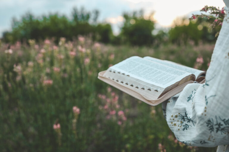 Open bible in hands close-up.
